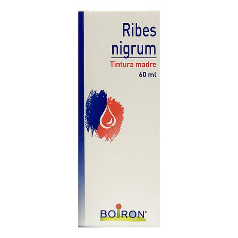 RIBES NIGRUM 60ML TM